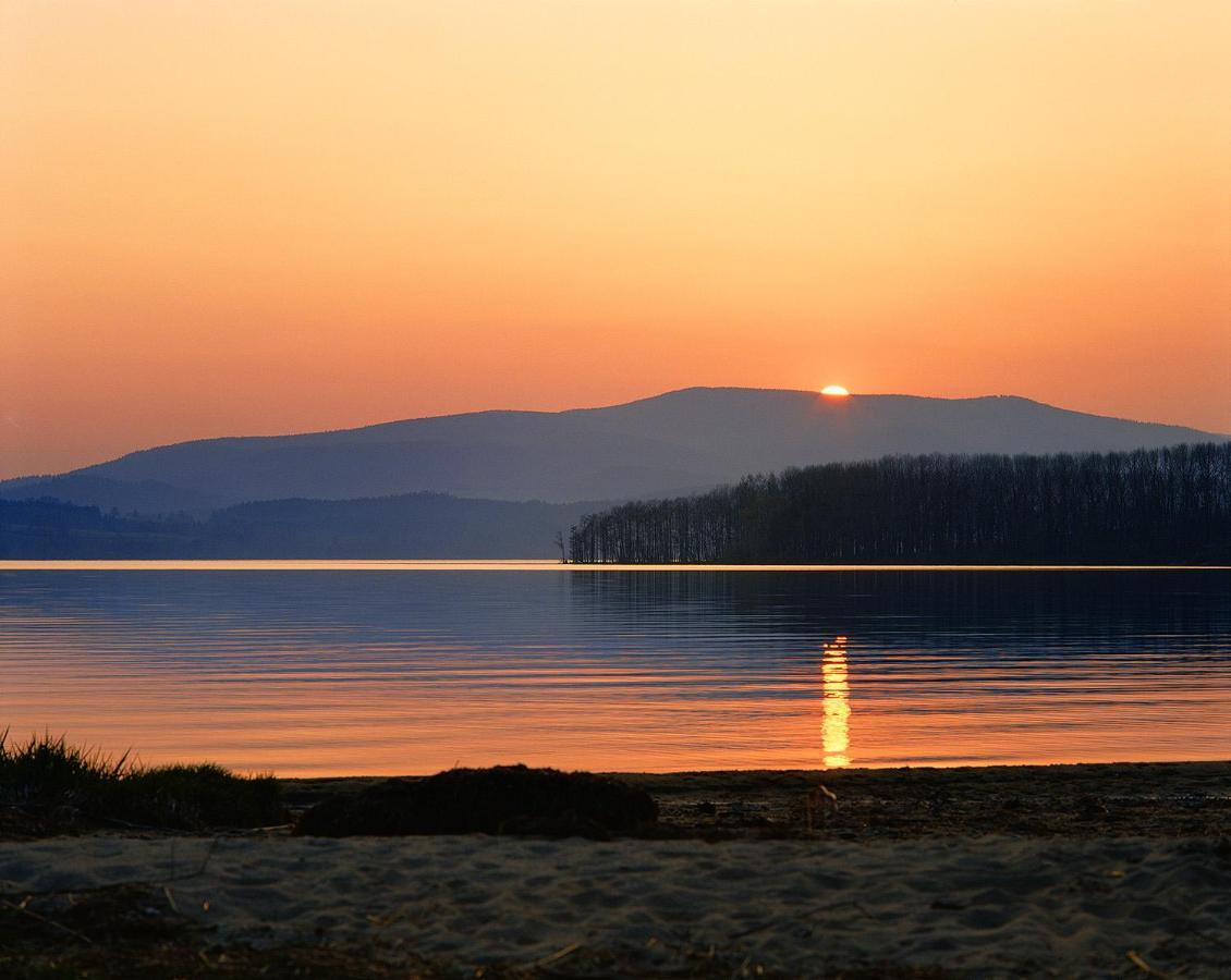 Konvice