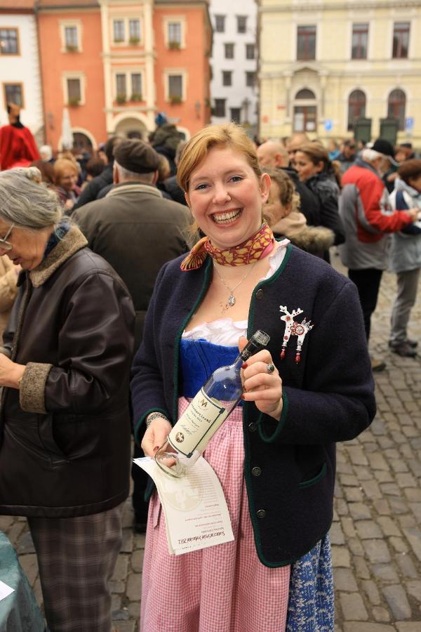 康维斯酒店 酒店 Český Krumlov
